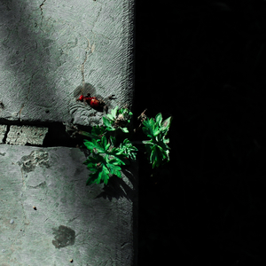 别揉我胸~嗯啊视频
