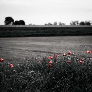 别揉我胸~嗯啊视频
