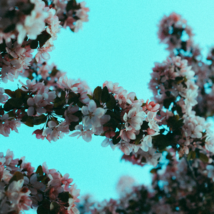 别揉我胸~嗯啊视频
