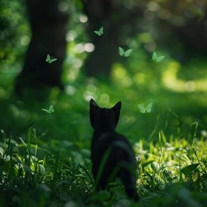 别揉我胸~嗯啊视频
