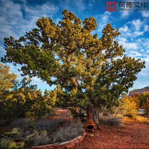 别揉我胸~嗯啊视频
